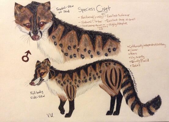 Civet Design/OC