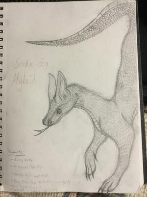 Snake-Dog Hybrid | WIP